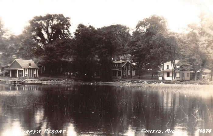 Curtis - Vintage Postcard